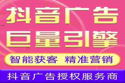 SEO与SEM优化案例：打造行业领先品牌